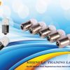 G18.5 12V 10W Bulb