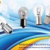 S25 24V 21W BAU15 D